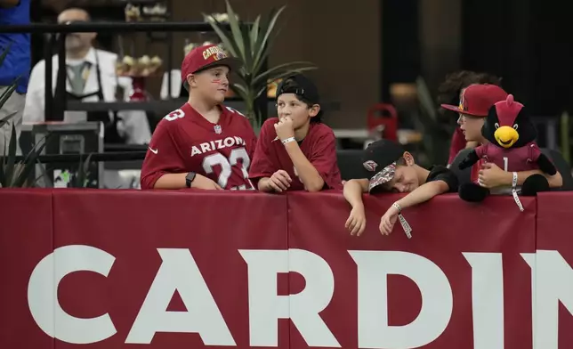 Arizona Cardinals fans watch during the second half of an NFL football game against he Washington Commanders, Sunday, Sept. 29, 2024, in Glendale, Ariz. (AP Photo/Ross D. Franklin)