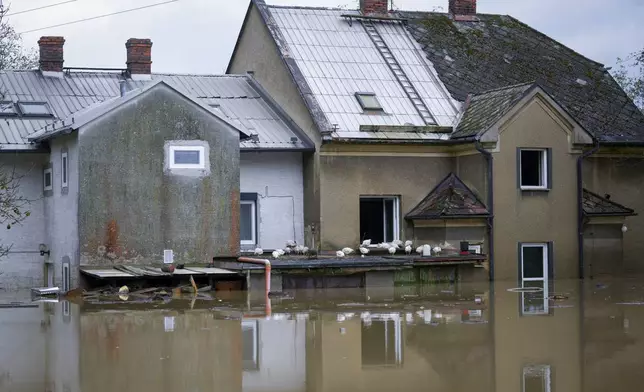 Chicken stand on the rooftop of a garage to shelter themselves from floods in Ostrava, Czech Republic, Monday, Sept. 16, 2024. (AP Photo/Darko Bandic)