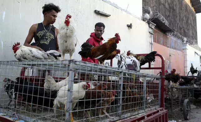 A vendor sells chicken at a market in Dili, East Timor, Wednesday, Sept. 4, 2024. (AP Photo/Firdia Lisnawati)