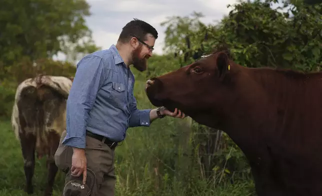 Farmer and Presbyterian pastor Lee Scott pets one of the cows on his family farm, Laurel Oak Farm, in Butler, Pa., on Friday, Sept. 6, 2024. (AP Photo/Jessie Wardarski)