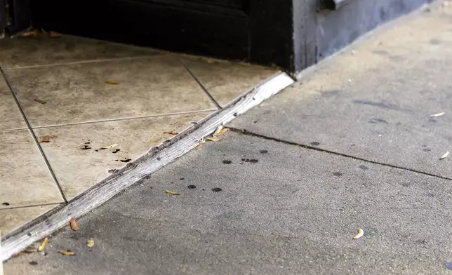 Drops of blood remain at the scene of a fatal Saturday night shooting in the Five Points neighborhood of Birmingham, Ala., Sunday, Sept. 22, 2024. (AP Photo/Vasha Hunt)