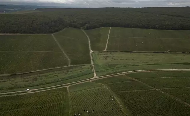 Aerial view of the Domaine Lavantureux vineyards, in Chablis, Burgundy region, France, Wednesday, Sept. 25, 2024. (AP Photo/Aurelien Morissard)