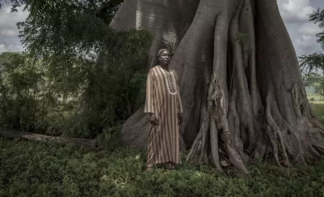 Moustapha Sabally, who receives remittances from his son, a doctor in America, poses for a portrait on his land in Kwinella village, Gambia, on July 27, 2024. (AP Photo/Annika Hammerschlag)