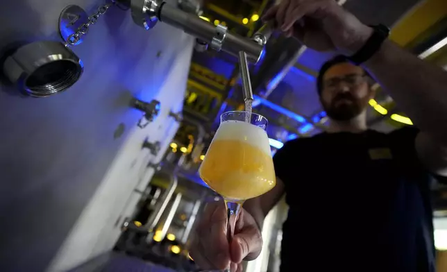 Head Brewmaster Tobias Zollo fills beer at the Weihenstephan brewery in Freising, Germany, Friday, Sept. 20, 2024. (AP Photo/Matthias Schrader)