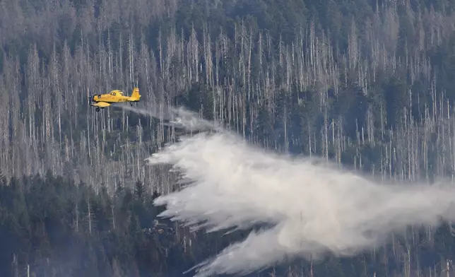 A fire-fighting aircraft is in action at a forest fire on the Königsberg below the Brocken in the Harz Mountains, Germany, Sunday, Sept. 8, 2024. (Swen Pförtner/dpa via AP)