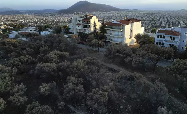 Trees next to houses, which had been burned in a mid-August wildfire, are seen in Vrilissia suburb in northern Athens, Sunday, Aug. 25, 2024. (AP Photo/Thanassis Stavrakis)