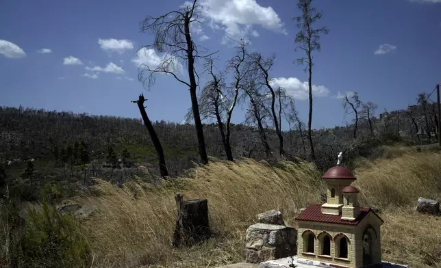 A roadside shrine stands in front of a forest which had been burned in a August 2021 wildfire, in Ippokratios Politia village, about 35 kilometres (21 miles) north of Athens, Friday, Aug. 23, 2024. (AP Photo/Thanassis Stavrakis)