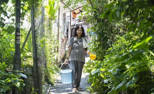 Villager Chan Shun-hong poses for a photo as she tends to her vegetables at the Cha Kwo Ling Village in Hong Kong, Sunday, Aug. 25, 2024. (AP Photo/Chan Long Hei)