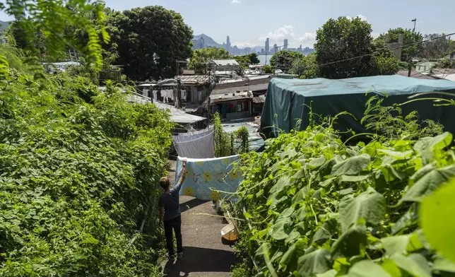 Villager Lo Yuet-ping attends to his laundry at the Cha Kwo Ling village in east Kowloon, Hong Kong, Sunday, Aug. 25, 2024. (AP Photo/Chan Long Hei)