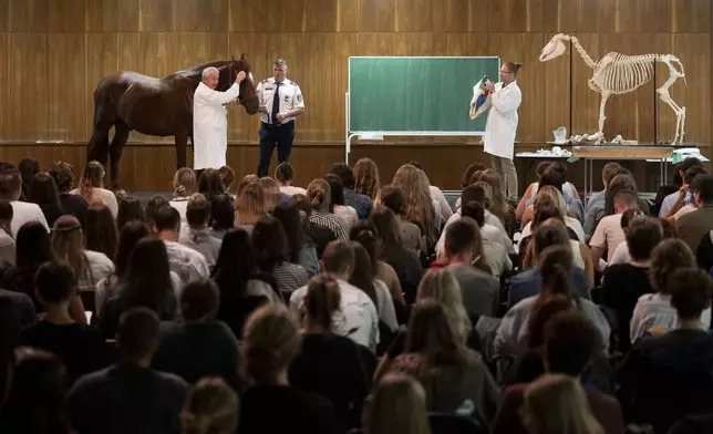 Dr. Peter Sotonyi, rector of the University of Veterinary Medicine in Budapest, Hungary, gives an anatomy lecture for first-year students, using chalk to mark the body of live horses, Monday, Sept 9. 2024. (AP Photo/Denes Erdos)