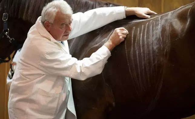 Dr. Peter Sotonyi, rector of the University of Veterinary Medicine in Budapest, Hungary, gives an anatomy lecture for first-year students, using chalk to mark the body of live horses, Monday, Sept 9. 2024. (AP Photo/Denes Erdos)