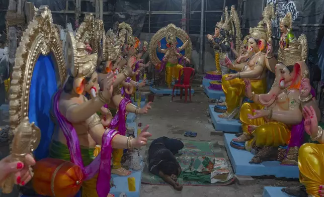 A worker takes a nap next to idols of the elephant-headed Hindu god Ganesha inside a workshop ahead of Ganesh Chaturthi festival in Mumbai, India, Wednesday, Sept. 4, 2024. (AP Photo/Rafiq Maqbool)