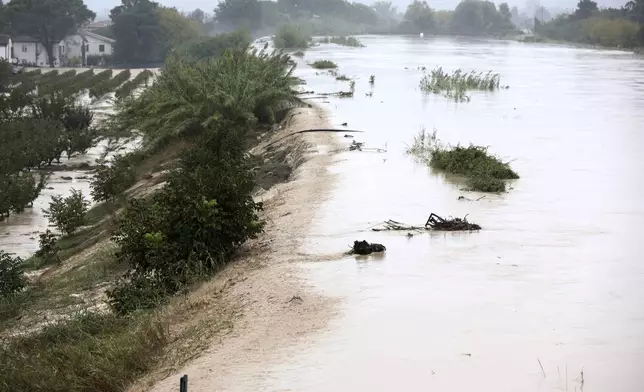 The Lamone river overflows its banks near Bagnacavallo, in the region of Emilia-Romagna, Italy, Thursday, Sept. 19, 2024. (Fabrizio Zani/LaPresse via AP)