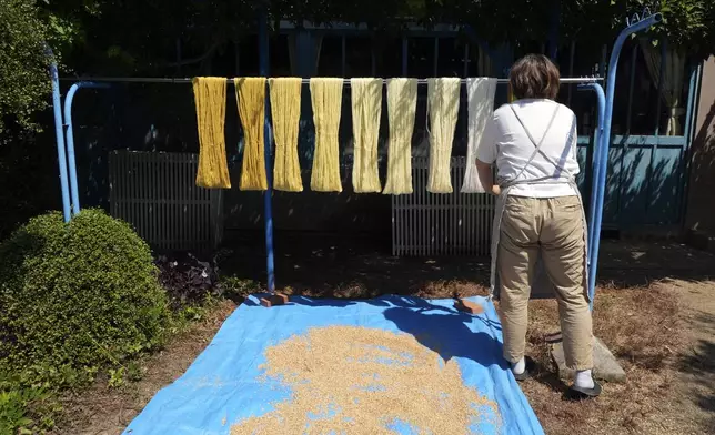 Cotton thread used for making the Japanese traditional craft "tamari" hang to dry at Sanuki Kagari Temari in Kawaramachi, Kagawa prefecture, Japan, on Sept. 5, 2024. (AP Photo/Ayaka McGill)