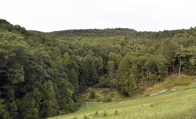 Trees stand in wooded areas alongside Interstate 75 near Livingston, Ky., Sunday, Sept. 8, 2024, as police search for a suspect in a shooting Saturday along the Interstate. (AP Photo/Timothy D. Easley)