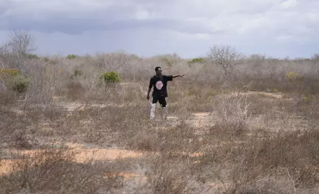 Shukran Karisa Mangi, 25, a gravedigger, walks in the bush near the forest where dozens of bodies have been found in shallow graves in the village of Shakahola, near the coastal city of Malindi, in southeastern Kenya, on Thursday, Sept. 5, 2024. (AP Photo/Brian Inganga)