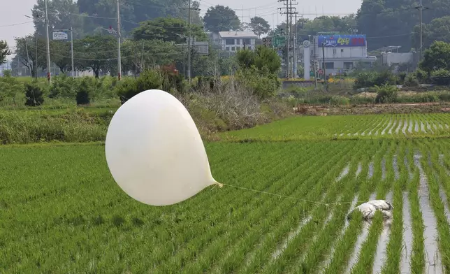 FILE - A balloon presumably sent by North Korea, is seen in a paddy field in Incheon, South Korea, on June 10, 2024. (Im Sun-suk/Yonhap via AP, File)