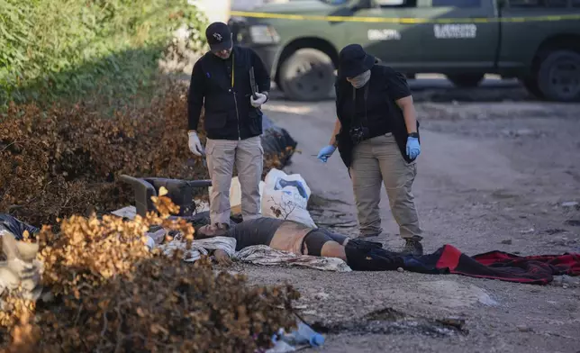 Crime scene investigators work at the site where a body was found lying on a street in La Costerita neighborhood of Culiacan, Sinaloa state, Mexico, Thursday, Sept. 19, 2024. (AP Photo/Eduardo Verdugo)