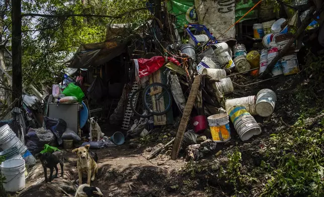 Dogs sit next to a damaged house where various people died after a rain-induced landslide, in Naucalpan, Mexico, Tuesday, Sept. 17, 2024. (AP Photo/Felix Marquez)