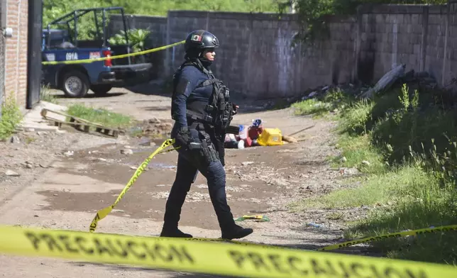 Police work in the area where bodies lie on the ground in Culiacan, Sinaloa state, Mexico, Tuesday, Sept. 17, 2024. (AP Photo)