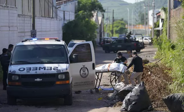 Forensic investigators remove a body from the street in La Costerita, Culiacan, Sinaloa state, Mexico, Thursday, Sept. 19, 2024. (AP Photo/Eduardo Verdugo)