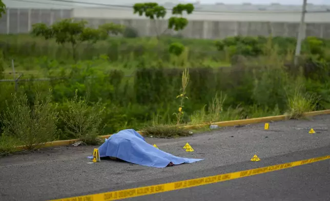 Crime scene markers surround a body found lying on the side of a road which was covered in a blue sheet by National Guardsmen, in Culiacan, Sinaloa state, Mexico, Saturday, Sept. 21, 2024. (AP Photo/Eduardo Verdugo)