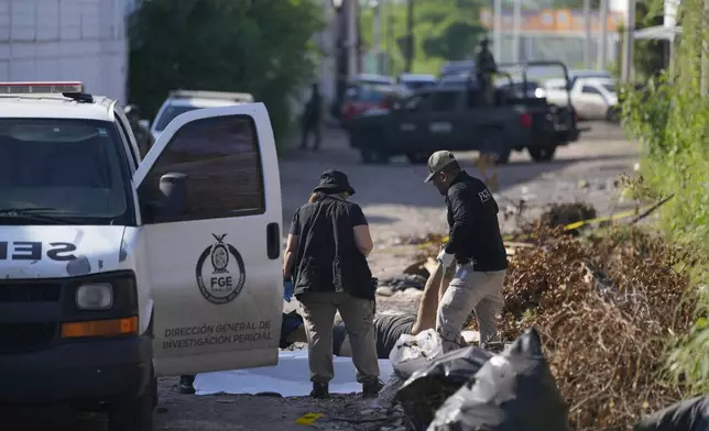 Forensic investigators remove a body from the street in La Costerita, Culiacan, Sinaloa state, Mexico, Thursday, Sept. 19, 2024. (AP Photo/Eduardo Verdugo)