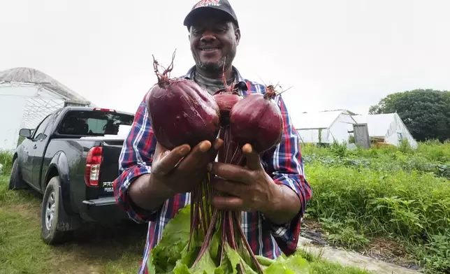 Farmer Sylvain Bukasa, a refugee from Democratic Republic of the Congo, smiles while showing the beets grown on his plot at Fresh Start Farm, Aug. 19, 2024, in Dunbarton, N.H. (AP Photo/Charles Krupa)