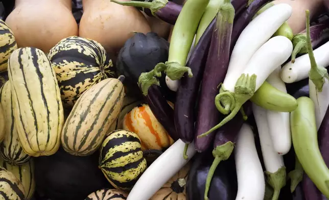 A selection of squash, left, and eggplant, right, are stacked after being washed to be packaged for a community share program at Fresh Start Farm, Aug. 19, 2024, in Dunbarton, N.H. (AP Photo/Charles Krupa)