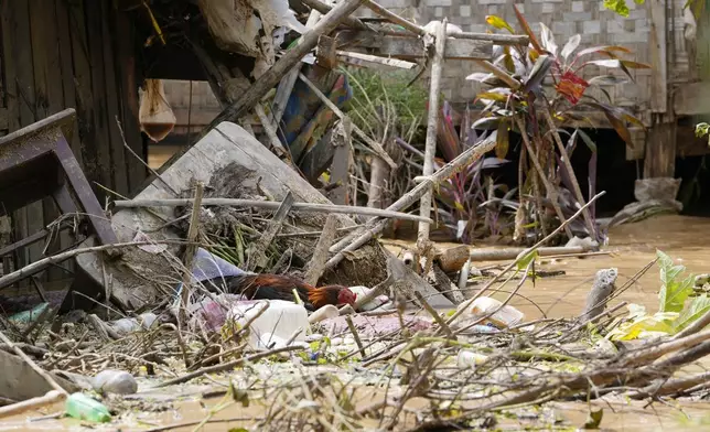 Debris from half-submerged residences gather on a flooded road in Naypyitaw, Myanmar, Saturday, Sept. 14, 2024. (AP Photo/Aung Shine Oo)
