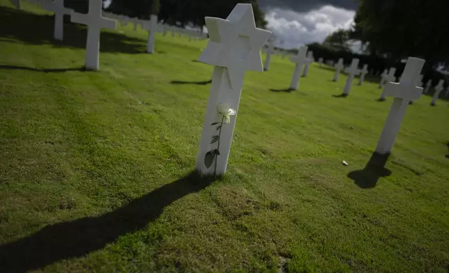 Eighty years after the liberation of the south of the Netherlands a white rose was put at the grave of Hyman Ackerman, a technician 5th grade with the 411th Quartermaster Company, 17th Airborne Division, who died on March 24, 1945, stands among the 8,288 crosses and Star of David headstones at the Netherlands American Cemetery in Margraten, southern Netherlands, on Wednesday, Sept. 11, 2024. (AP Photo/Peter Dejong)