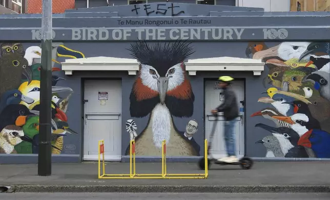 A man rides past a mural celebrating John Oliver's New Zealand's 2023 Bird of the Year campaign in Wellington, New Zealand, Sunday, Sept. 15, 2024. (AP Photo/Charlotte GrahamMcLay)