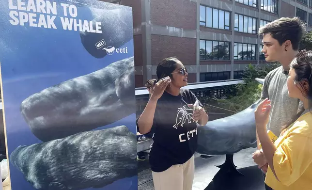 People talk near an exhibit by CETI, an organization that seeks to listen to and translate the communication of sperm whales, at the Climate Science Fair, an outdoor exhibit hosted by the Emerson Collective during the annual Climate Week NYC and United Nations General Assembly, on Sunday, Sept. 22, 2024 in New York. (AP Photo/Thalia Beaty)