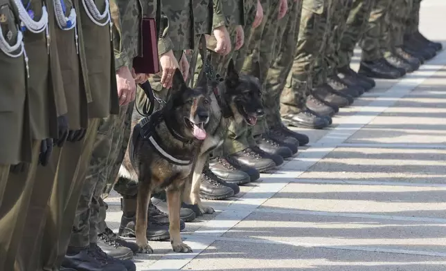 Polish army dogs and their handlers are seen during a ceremony in Nowy Dwor Mazowiecki, Poland, Friday, Sept. 6, 2024. (AP Photo/Czarek Sokolowski)