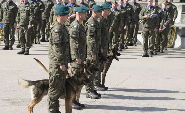 Polish army dogs and their handlers are seen during a ceremony in Nowy Dwor Mazowiecki, Poland, Friday, Sept. 6, 2024. (AP Photo/Czarek Sokolowski)