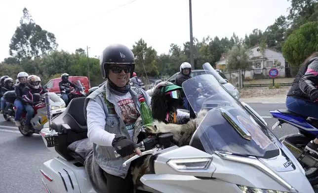 A motorcyclist carries his pet, equipped with helmet and goggles, leaving after attending the IX Pilgrimage of the Blessing of Helmets at the Roman Catholic holy shrine of Fatima, in Fatima, Portugal, Sunday, Sept. 22, 2024. (AP Photo/Ana Brigida)