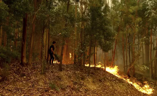 A woman tries to extinguish the flames near Sever do Vouga, a town in northern Portugal that has been surrounded by forest fires, Tuesday, Sept. 17, 2024. (AP Photo/Bruno Fonseca)