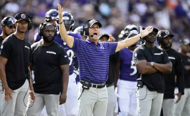 Baltimore Ravens head coach John Harbaugh reacts after a play against the Las Vegas Raiders during the second half of an NFL football game, Sunday, Sept. 15, 2024, in Baltimore. (AP Photo/Nick Wass)