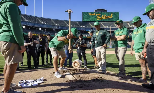 Rich Navarro, center left, of the Coliseum grounds crew, digs around the pitching rubber on the mound which was removed and authenticated after the Oakland Athletics defeated the Texas Rangers in a baseball game in Oakland, Calif., Thursday, Sept. 26, 2024. It was the Athletic's final home game at the Coliseum. (Carlos Avila Gonzalez/San Francisco Chronicle via AP)