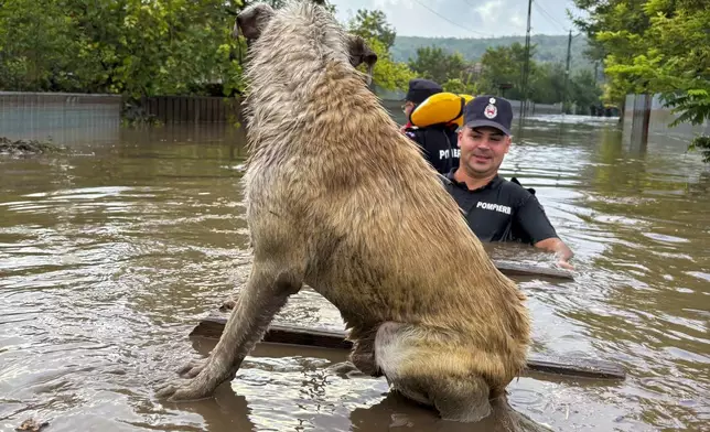 In this photo released by the Romanian Emergency Services Galati (ISU Galati), firefighters approach a stranded dog in Cudalbi, Romania, Saturday, Sept. 14, 2024 after torrential rainstorms left scores of people stranded in flooded areas. (Romanian Emergency Services - ISU Galati via AP)