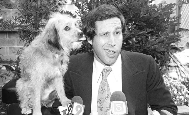 FILE - Chevy Chase gets his ear licked from co-star Benji the dog, during a news conference in Los Angeles announcing their movie "Oh Heavenly Dog" on Sept. 6, 1979. (AP Photo/Nick Ut, file)