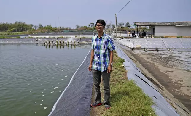 Yulius Cahyonugroho poses for a photo at his shrimp farm in Kebumen, Central Java, Indonesia, Tuesday, Sept. 24, 2024. (AP Photo/Dita Alangkara)