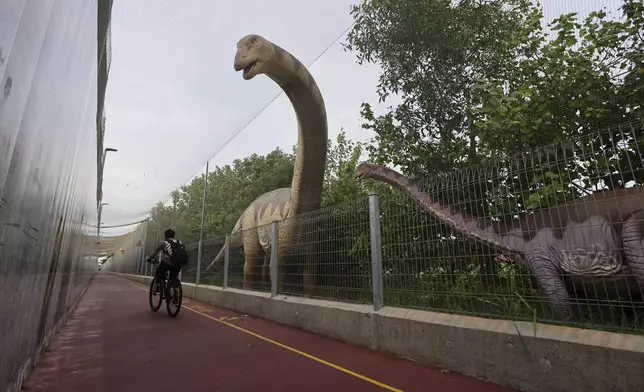 A man cycles past a life size dinosaur replica along the Changi Jurassic Mile in Singapore, Sunday, Sept. 8, 2024. (AP Photo/Suhaimi Abdullah)