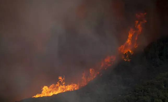 The Line Fire makes a run along a ridge Saturday, Sept. 7, 2024, near Running Springs, Calif. (AP Photo/Eric Thayer)