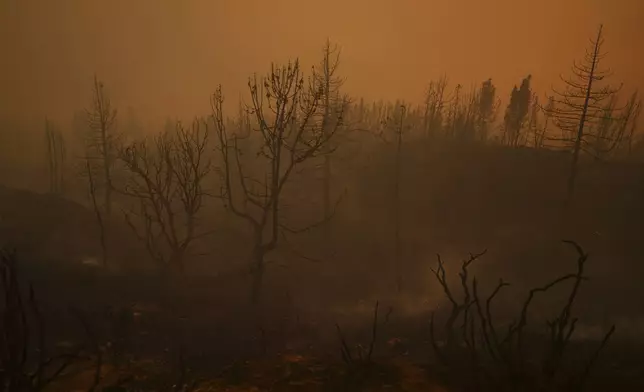 A scorched landscape is left behind by the Line Fire Saturday, Sept. 7, 2024, in Running Springs, Calif. (AP Photo/Eric Thayer)