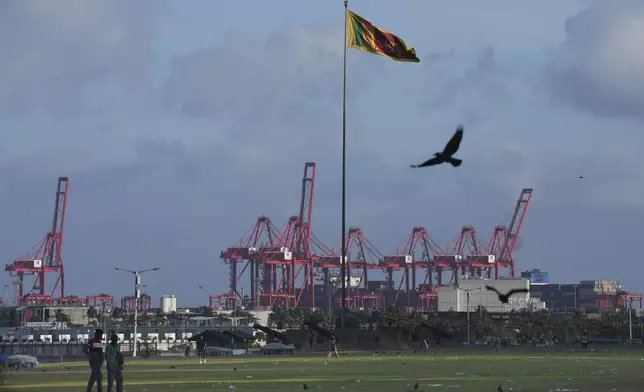 A bird flies past gantry cranes working at the Colombo port, Sri Lanka, Monday, Sept. 16, 2024. (AP Photo/Rajesh Kumar Singh)