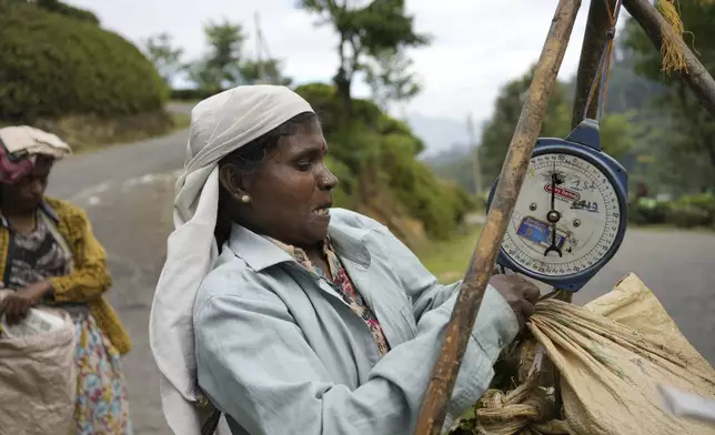 A woman tea plantation worker weighs a bag of tea leaves plucked at Spring Valley Estate in Badulla, Sri Lanka, Tuesday, Sept. 10, 2024. (AP Photo/Eranga Jayawardena)