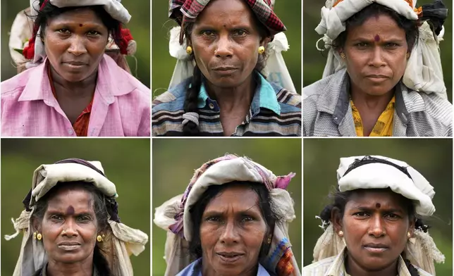 In this combo photograph, women tea plantation workers, clockwise from top left, Kanakambige Velayudan, Kaariman Thangamma, Tharmaraj Kaladevi, Dharmawathi, Kumaralingum Kamala, and Nadaraja Chitramani pose for a photograph during a break in their work at a tea plantation in Badulla, Sri Lanka, Tuesday, Sept. 10, 2024. (AP Photo/Eranga Jayawardena)