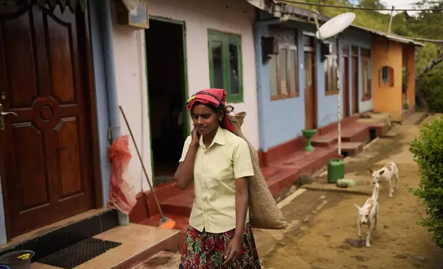 Tea plantation worker Adaraja Ali Rani leaves her living quarters to pluck tea tips in Spring Valley estate in Badulla, Sri Lanka, Tuesday, Sep. 10, 2024. (AP Photo/Eranga Jayawardena)