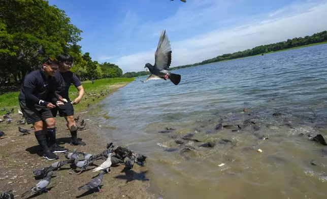 Kunchanok Khantiphong, 27, and his Filipino partner Edward Jonathan Caiga, 42, left, feed bread to fish at Nong Bon Lake park in Bangkok, Thailand, Saturday, July 6, 2024. (AP Photo/Sakchai Lalit)